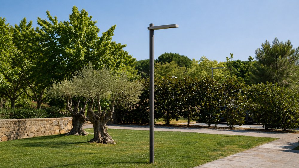 Street Lights